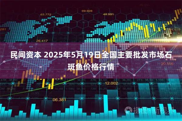 民间资本 2025年5月19日全国主要批发市场石斑鱼价格行情