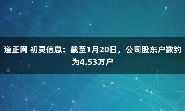 道正网 初灵信息：截至1月20日，公司股东户数约为4.53万户