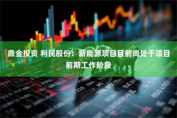 鼎金投资 利民股份：新能源项目目前尚处于项目前期工作阶段